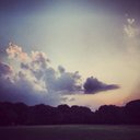 Wark (@0Wark0) Twitter
