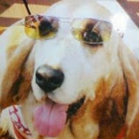 Jim Welch (@ctnewshound) 's Twitter Profile Photo Jim Welch (@ctnewshound) 's Twitter Profile Photo