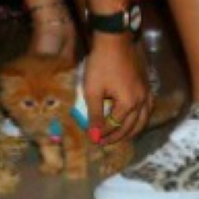 reema_gimil's profile picture. أنا فتاة أحب كل أنواع السعادة في حياتي ❤