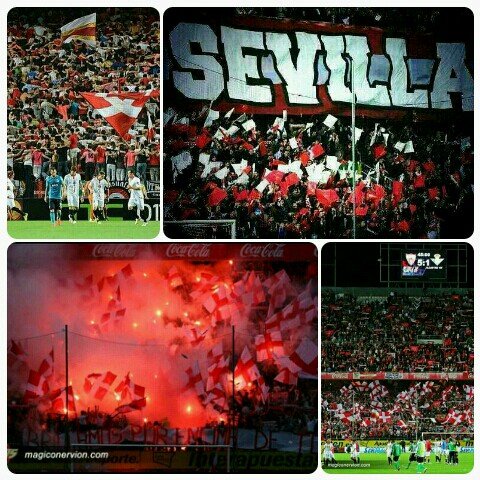 sevillista hasta la muerte/RealG4Life
