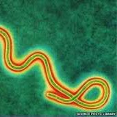 The Ebola Hater Page