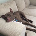 Brian Fish - @BrianFish42 - Twitter