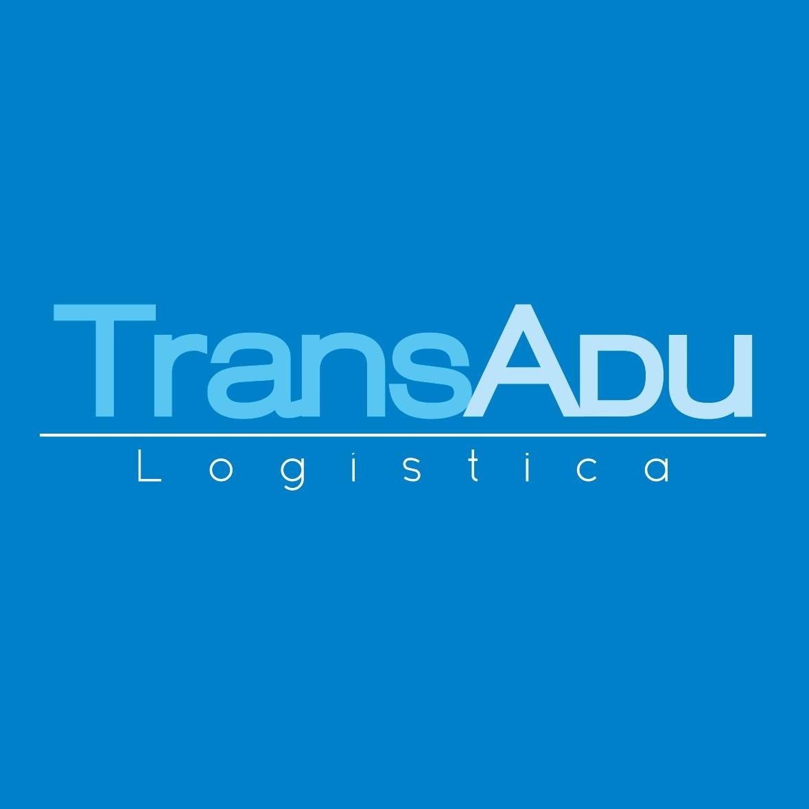 Asesoría y consultoria en materia de  Comercio Exterior, nacionalización y despacho de mercancías, transporte de cargas a nivel nacional
