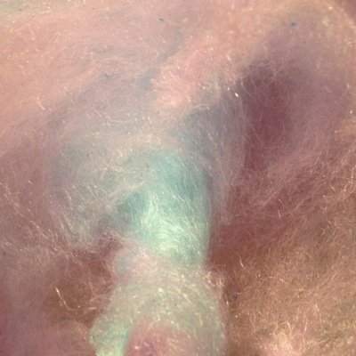 InesdeAmarillo's profile picture. 