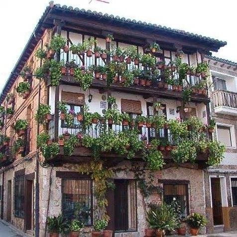 cafeteriaflores's profile picture. 