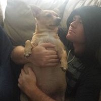 Jon Robins (@emailthun) 's Twitter Profile