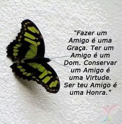 conexao_nova's profile picture. O amor é a força que rege todas as forças