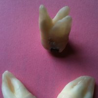 Sarah Illingworth (@illingpig) 's Twitter Profile