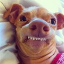 Steven Wessel - @Phteven32 - Twitter