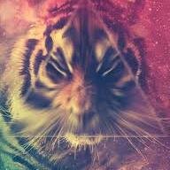 soy una chica no fotogenica me gusta hacer muchos amigos y llevarme bien con ellos me gusa la musica electronica :3 y soy hipster :3
