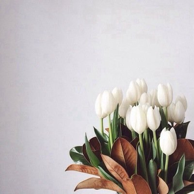 ‏‏استغفرالله ،الحمدلله،لااله الا الله ،الله اكبر ،سبحان الله وبحمده ،سبحان الله العظيم ،اللهم صلِ وسلم ع محمد ()*