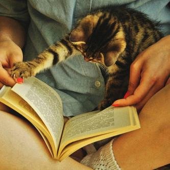 O que é ficção pra você é real pra mim. Twitter de resenhas, recomendações e frases da biblioteca da nossa vida ADM: Be Higor Ste Pri