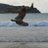 alvaro_da88's profile image
