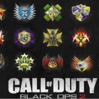 CoD,GTA,WiiU,Ps3,X Boxを中心にハックしてます。 気になったら声かけてください。
