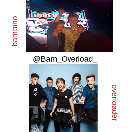Bars and Melody and Overload are my everything they are amazing i love the alpha dog family to do you? met bam on the 24/8/14 at Glasgow 3