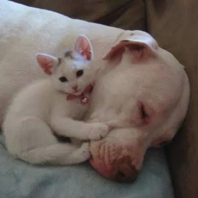 GMTrendsMall's profile picture. 