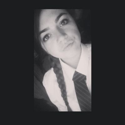 new twitter