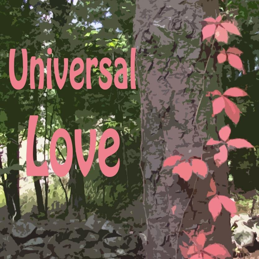 PAUniversalLove's profile picture. Universal Love is dedicated to creating a community of people that want to celebrate life in a positive, spiritually diverse environment.