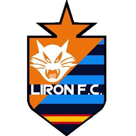 Equipo de Fútbol 11 que se cuestiona su continuidad. Nos falta un patrocinador.