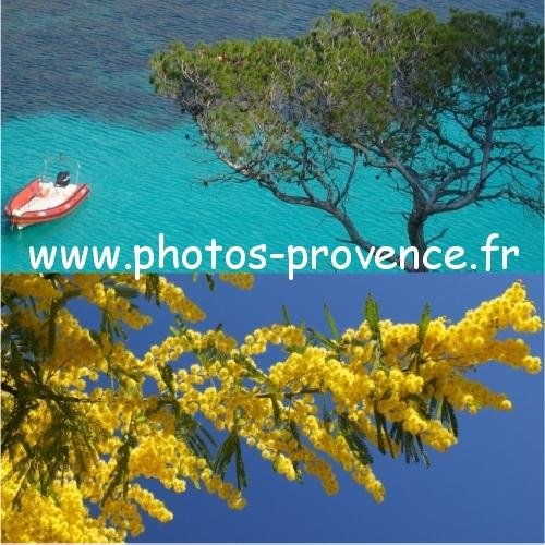 Visite et tourisme dans la région Provence Alpes Côte d'Azur - plus de 20000 photos