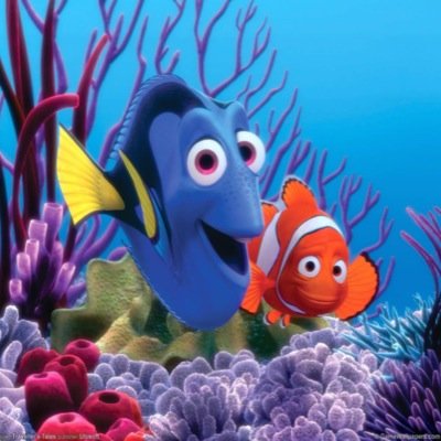 d_wright18's profile picture. 