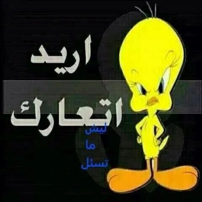 انا ابحث عن البنات للتعارف الرومانسي