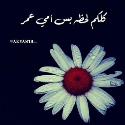 استغفر الله واتوب إليه