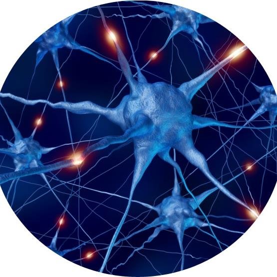 neuropolitiq's profile picture. Pioneros de la Neuroeconomía (ciencia que estudia cómo el cerebro toma decisiones) aplicada a la Estrategia y Comunicación Política.