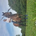 mel walters - @mel1973x - Twitter