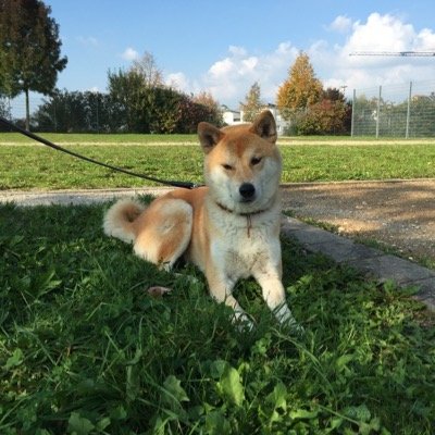 silvermka's profile picture. 