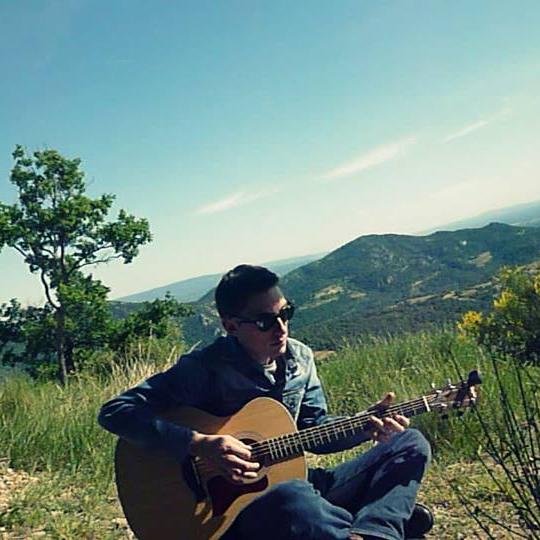 Guitarist Musician