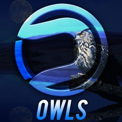 manager and staff of @thedareuprising  (194k)  I add fans on my Dare OwIs gt never forget to Dare to dream
