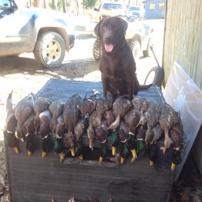 ewlogan80's profile picture. 