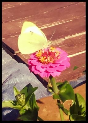 feel the wind and the nature;)