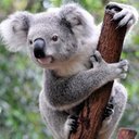 Haley Key - @stirfry025 - Twitter