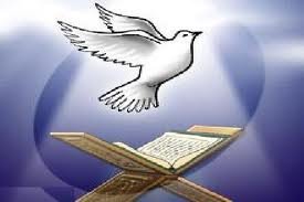 Prshahzad's profile picture. الهاتف الرقم
00923410445044