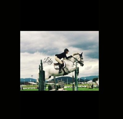 ♞Follow als je van paarden houdt!♞нσяѕєƒяєαӄ♞Op naar de 1150♞Vrienden zijn niet altijd te vertrouwen paarden wel♞ℓσνє ν∂♞ℓσνє нσяѕєѕ♞