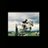 xxIlovehorses's profile image