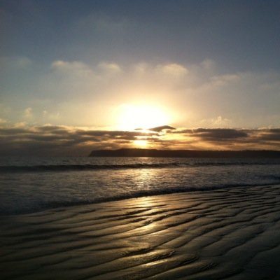 IamLADYBEAST's profile picture. 