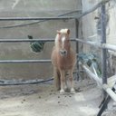 Mandy Ludwig - @LudwigSh - Twitter