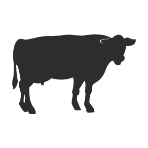lowcows's profile picture. https://t.co/eV5dwS6szO is no more. If you need web work done you can find me at my new company Novem Designs, LLC - https://t.co/YGibGbpf8I