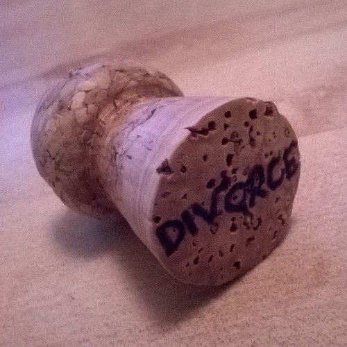 DivorceRelief's profile picture. Wrangler of two teens.
Co-parenting with a weapons-grade narcissist.
Onwards and upwards, lads.