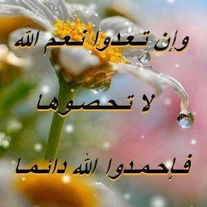 salwa_alqlity's profile picture. 