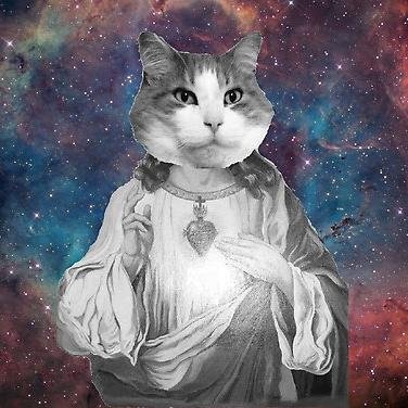 This account should rather be called the Matron of Nekoism, but Cat Jebus likes things to be kept simple, stupid. Here you will find Cat Jebus's words. A-miaow.