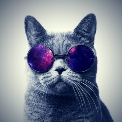 VlogIdiots's profile picture. Youtuber VlogIdiots