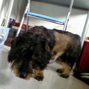 Tim Fernandez - @timon38190 - Twitter