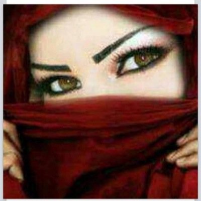 Zezo1985Zezo's profile picture. 