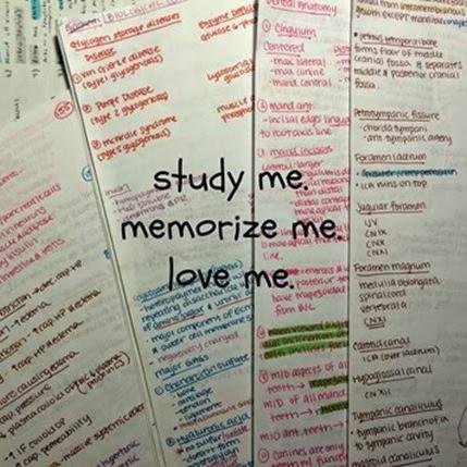 stepone_basics's profile picture. Medical student who wants to help other medical students get through this beast a day at a time.