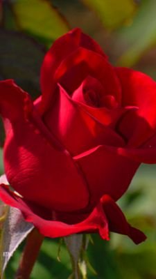 ssssss00000374's profile picture. 