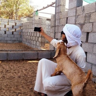 veterinarian..